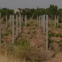 پایه انگور تیرچه انگور تیرچه پایه ستون پایه فنس|عمده‌فروشی|تهران, شهرک طالقانی|دیوار