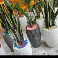 اجرای خدمات باغبانی  کاشت باغچه ،علف زنی سم پاشی|خدمات باغبانی و درختکاری|زنجان, |دیوار