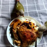 گرینچیک نر و ماده|پرنده|تهران, شهرک آپادانا|دیوار