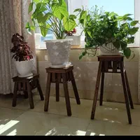 استندگل چهارپایه سه عددباهم۳۰۰زیرقیمت بازار|گل و گیاه طبیعی|اصفهان, باتون|دیوار
