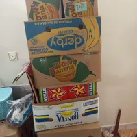 ۱۶ عدد کارتون