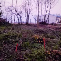 فروش زمین ۲۴۰ متری داخل بافت ومسکونی