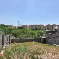 زمین چهاردیواری ۲۲۳ متر بر اصلی کوهسار با سند|فروش زمین و ملک کلنگی|تهران, شهران شمالی|دیوار