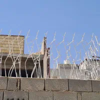 شاخ گوزنی و بوته ایی
