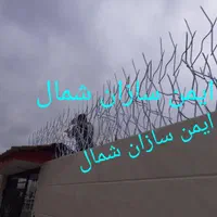 حفاظ شاخ گوزنی|خدمات پیشه و مهارت|رشت, جانبازان|دیوار