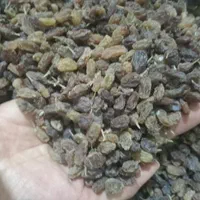 کشمش بندی سبز بدون تیزاب