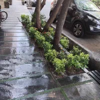 باغبانی سمپاشی گل کاری هرس تعویض گلدان با ضمانت|خدمات باغبانی و درختکاری|تهران, تجریش|دیوار