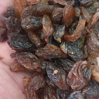 کشمش افتابی|عمدهفروشی|قرچک, زیبا شهر|دیوار