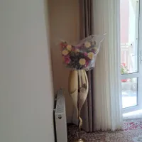 گل و گلدان