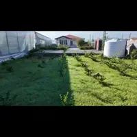 گلخانه /۱۳هزار و ۵۰۰متری/بادو پروانه و دو سند|فروش زمین و ملک کلنگی|چمستان, |دیوار