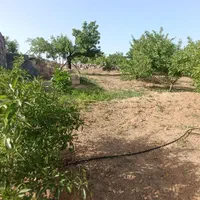باغ بادام ۱۰۰۰متری باسند تگ برگ رسمی|فروش دفتر صنعتی، کشاورزی، تجاری|فولادشهر, زاینده رود|دیوار