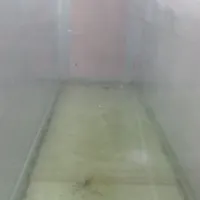 به دلیل نبودن جا
