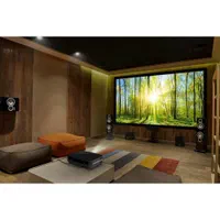 ویدیو پروژکتور سینمایی / کرایه