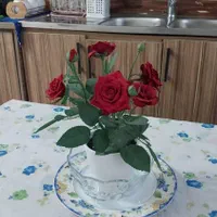 اجاره روزانه ویلا چوبی خورسند|اجارهٔ کوتاه‌مدت آپارتمان و سوئیت|ماسال, |دیوار