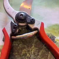قیچی باغبانی فیلکو ۲ ( FELCO 2 )|خدمات باغبانی و درختکاری|تهران, حسن‌آباد|دیوار