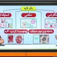 پک حرف آخر نسخه VOD صفرتاصد پای ثابت ورژن ۴۰۴|کتاب و مجله آموزشی|مشهد, طلاب|دیوار
