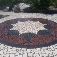 نمونه کارجدید