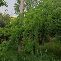 خونه ویلایی واقع در روستای توریستی کریک ،سیسخت|اجارهٔ کوتاه‌مدت ویلا و باغ|سی‌سخت, |دیوار