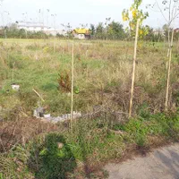 ۴۲۰ متر زمین  در پاچکنار سند مادر تفکیک شده|فروش زمین و ملک کلنگی|رشت, حومه رشت|دیوار
