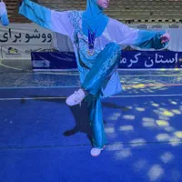 آموزش تخصصی رشته ورزشی ووشو|خدمات آموزشی|اصفهان, ارداجی|دیوار