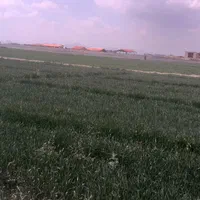 باغ چهاردیواری روستای فساران|فروش زمین و ملک کلنگی|اصفهان, بهارستان|دیوار