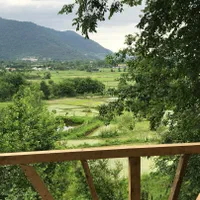 اجاره کلبه جنگلی|اجارهٔ کوتاه‌مدت ویلا و باغ|ماسال, |دیوار