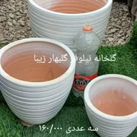 گل، گلدان، خاک، کود، بذر|عمده‌فروشی|گلبهار, |دیوار