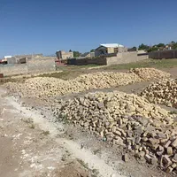 زمین کلنگی روستای تاج خاتون|فروش زمین و ملک کلنگی|قم, آزادگان|دیوار