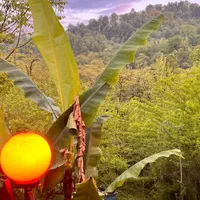 اقامتگاه جنگلی شومنزل|اجارهٔ کوتاهمدت ویلا و باغ|بابل, |دیوار