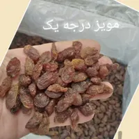 کشمش کاشمر، قوچان، درگز خرما، شکرک ملاس، خمیرخرما|عمده‌فروشی|مشهد, سعد آباد|دیوار