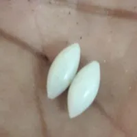 مهره اصلی