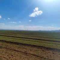 چهار هزار متر زمین باغی کشاورزی با سند و نقشه UTM