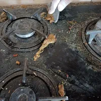 کلیه کارهای نظافتی خودرا به مابسپارید|خدمات نظافت|بم, |دیوار