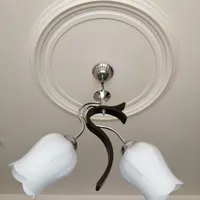 لوستر دو شاخه
