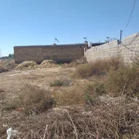 فروش یامعاوضه زمین