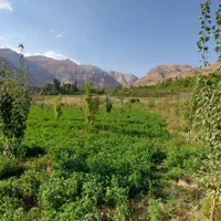 فروش باغ تنگه واشی با چشمه|فروش دفتر صنعتی، کشاورزی، تجاری|فیروزکوه, |دیوار
