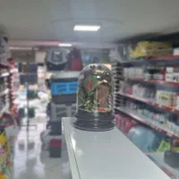 پت شاپ دریم پت|لوازم جانبی حیوانات|شیراز, میرزاکوچک خان|دیوار