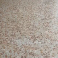 کف سابی کفسابی کف ساب و سنگ ساب|خدمات نظافت|بوشهر, |دیوار