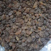 کشمش افتابی|عمده‌فروشی|قرچک, |دیوار