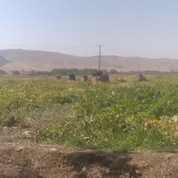 سرکارگر امور کشاورزی انبار سرد خانه|خدمات باغبانی و درختکاری|کرمانشاه, |دیوار