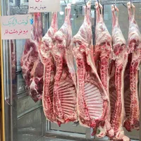 گوشت بره نر لار بازارچه غدیر