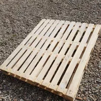 پالت چوبی و پلاستیکی صنعتی استاندارد|عمده‌فروشی|کهریزک, |دیوار