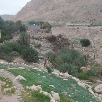 گوشواره ام گمشده