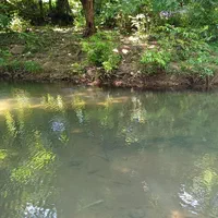 ویلا جنگلی در سراوان روستای کچا بدون واسطه ودربست|اجارهٔ کوتاه‌مدت ویلا و باغ|رشت, توشیبا|دیوار