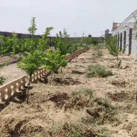 شاهنامه گوارشک فردوسی  فرماینه خرمدره زاک ماریان|فروش زمین و ملک کلنگی|مشهد, توس فردوسی|دیوار