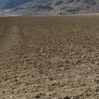 فروش زمین ۸ هکتار|فروش زمین و ملک کلنگی|گندمان, |دیوار