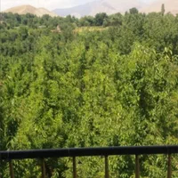اجاره روزانه/ساعتی/ویلا درحصار بوژان|اجارهٔ کوتاه‌مدت آپارتمان و سوئیت|نیشابور, فضل|دیوار
