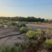 فروش زمین باغی با سند تک برگ و اقساط بلند مدت|فروش زمین و ملک کلنگی|شاهین‌شهر, گرگاب|دیوار