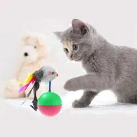 کلینیک دامپزشکی دامپزشک حیوانات سگ گربه عقیم سازی