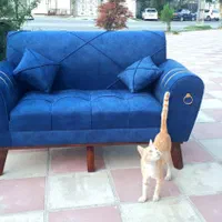 مبل اسکارلت انزلی|مبلمان خانگی و میز عسلی|بندر انزلی, کلیور|دیوار